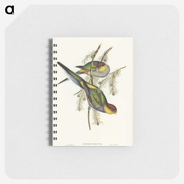 1-85_John-Gould_memo