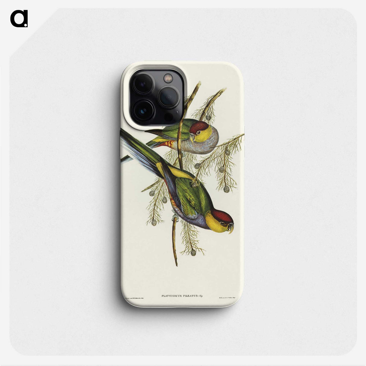 1-85_John-Gould_phone