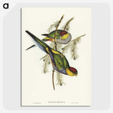 1-85_John-Gould_picture-crop