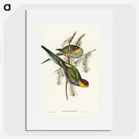 1-85_John-Gould_picture