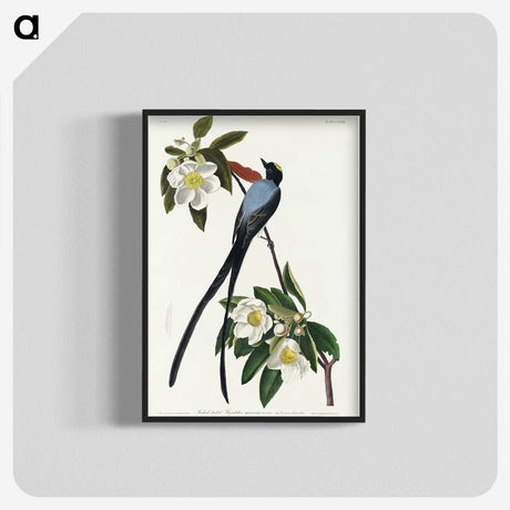 1-85_John-James-Audubon_blk-crop