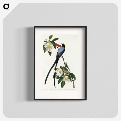 1-85_John-James-Audubon_blk