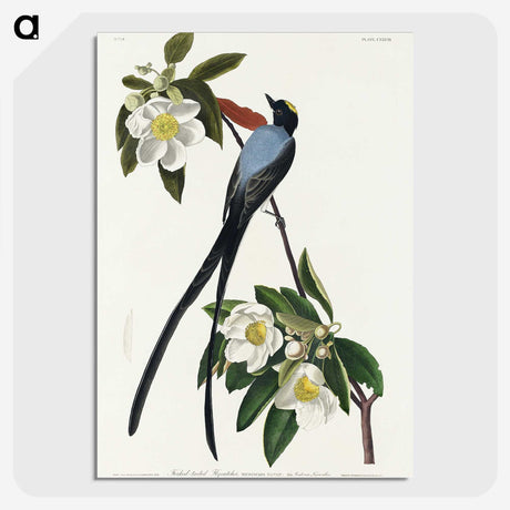1-85_John-James-Audubon_picture-crop
