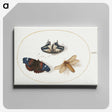 1-85_Joris-Hoefnagel_canvas