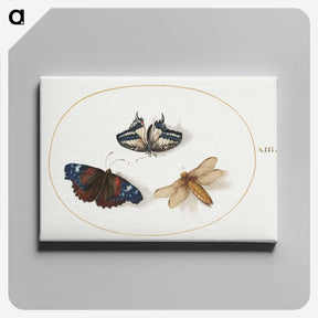 1-85_Joris-Hoefnagel_canvas