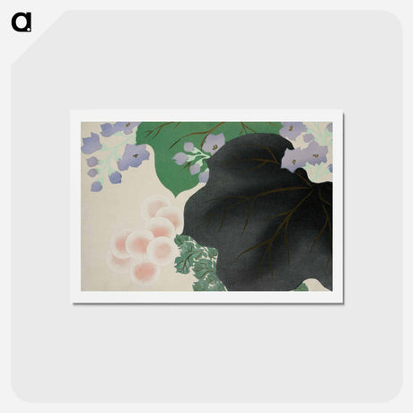 アートポストカード-Flowers and leaves from Momoyogusa–Flowers of a Hundred Generations by Kamisaka Sekka - 神坂 雪佳 Postcard.