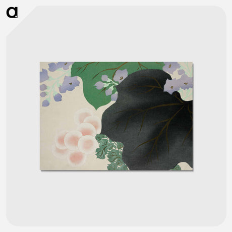 アートポストカード-Flowers and leaves from Momoyogusa–Flowers of a Hundred Generations by Kamisaka Sekka - 神坂 雪佳 Postcard.