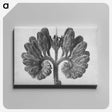1-85_Karl-Blossfeldt_canvas