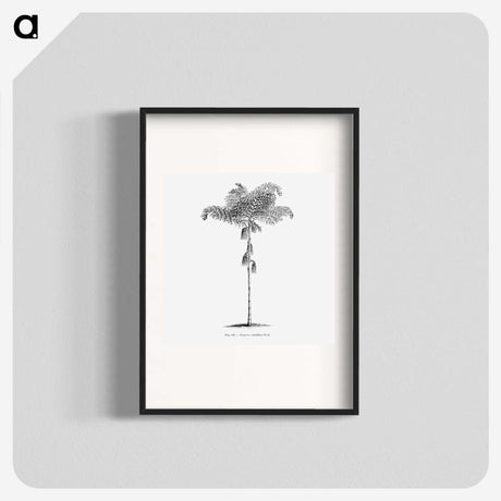 1-85_Les-Palmiers-Histoire-Iconographique_blk