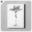 1-85_Les-Palmiers-Histoire-Iconographique_canvas
