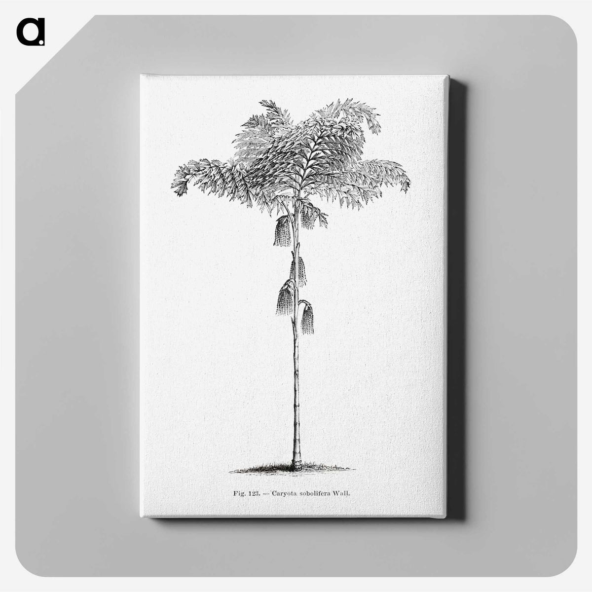 1-85_Les-Palmiers-Histoire-Iconographique_canvas