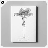 1-85_Les-Palmiers-Histoire-Iconographique_canvas