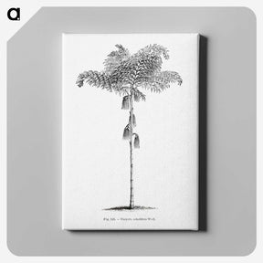 1-85_Les-Palmiers-Histoire-Iconographique_canvas