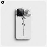 1-85_Les-Palmiers-Histoire-Iconographique_phone