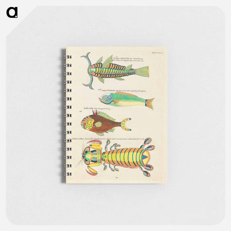 アートメモ帳-Moluccan Marine Life
 - ルイ ルナール Memo.