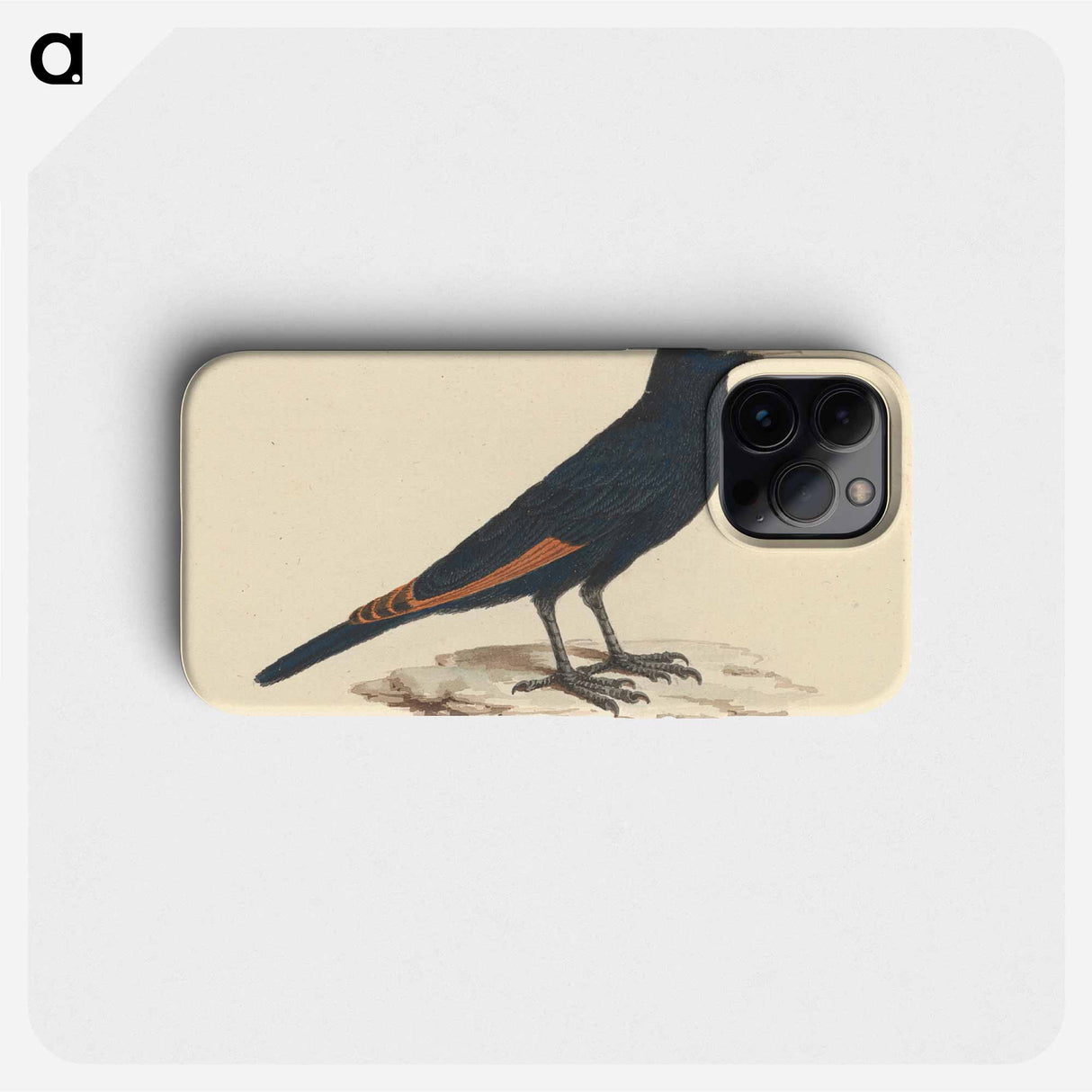 White Billed Starling
 - ルイージ バルガーニ Phone Case.
