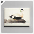 1-85_Magnus-von-Wright_canvas