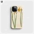 1-85_Maria-Sibylla-Merian_phone