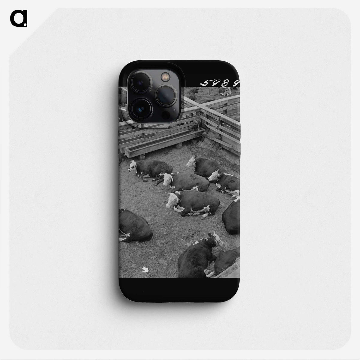 1-85_Marion-Post-Wolcott_phone