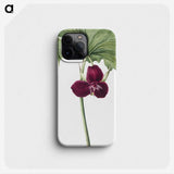 1-85_Mary-Vaux-Walcott_phone