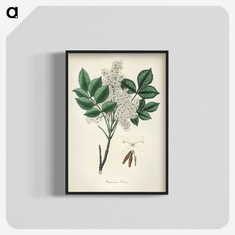 1-85_Medical-Botany_blk-crop