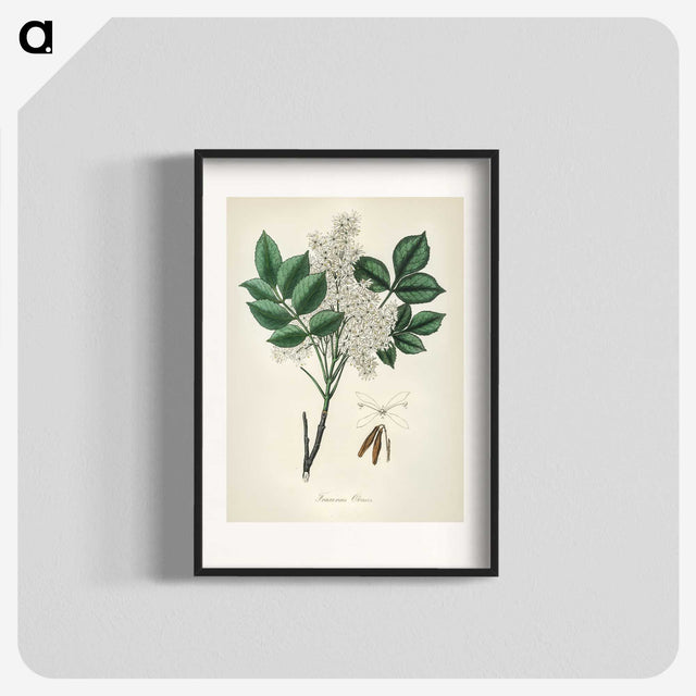 1-85_Medical-Botany_blk