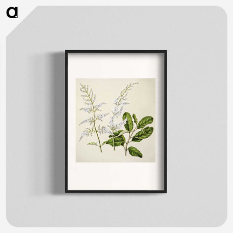 1-85_Native-Flowering-Plants-of-New-Zealand_blk