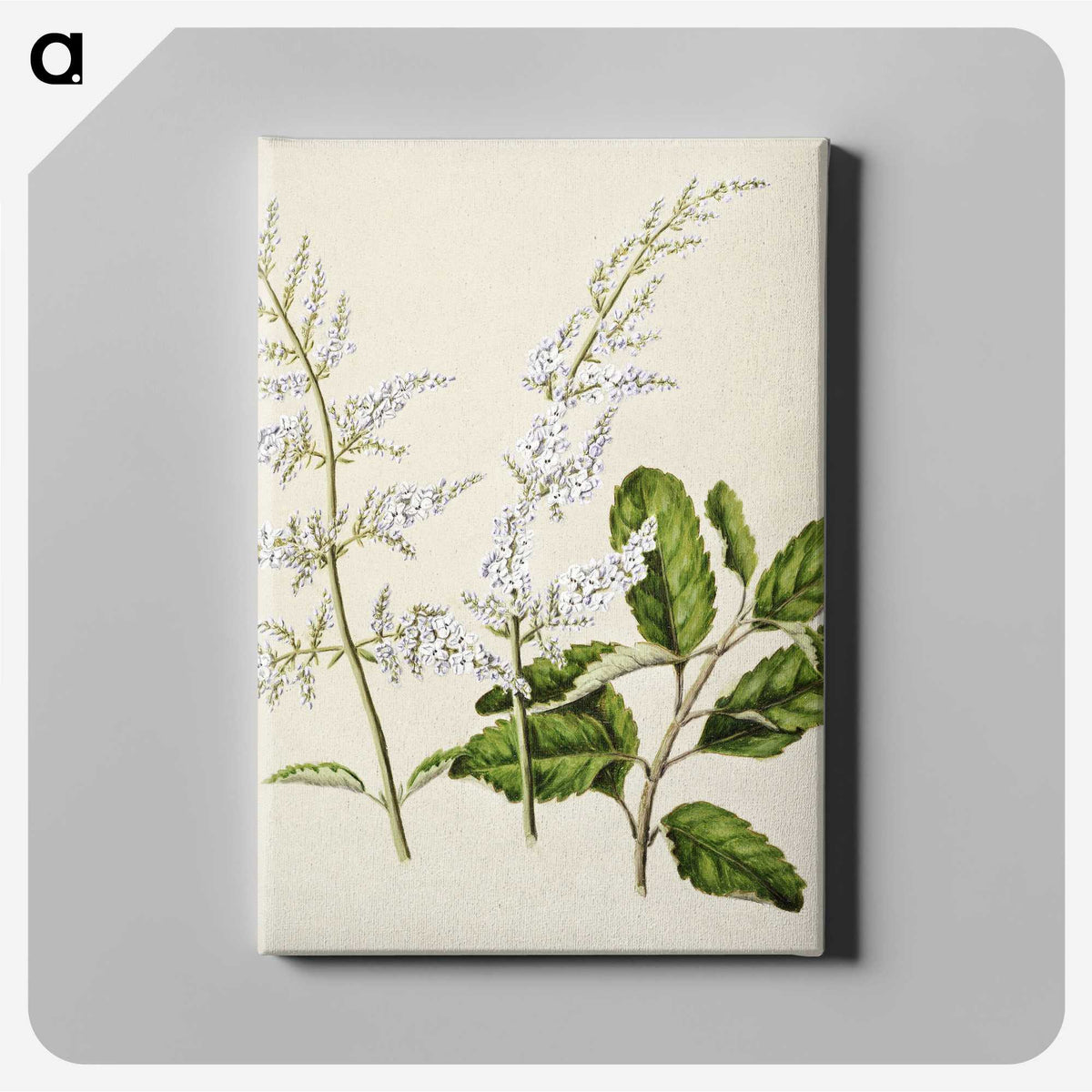 1-85_Native-Flowering-Plants-of-New-Zealand_canvas