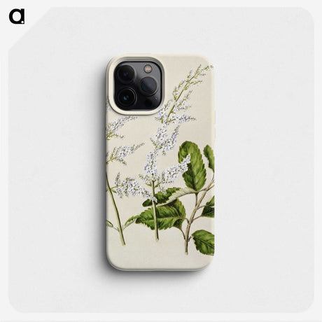 1-85_Native-Flowering-Plants-of-New-Zealand_phone