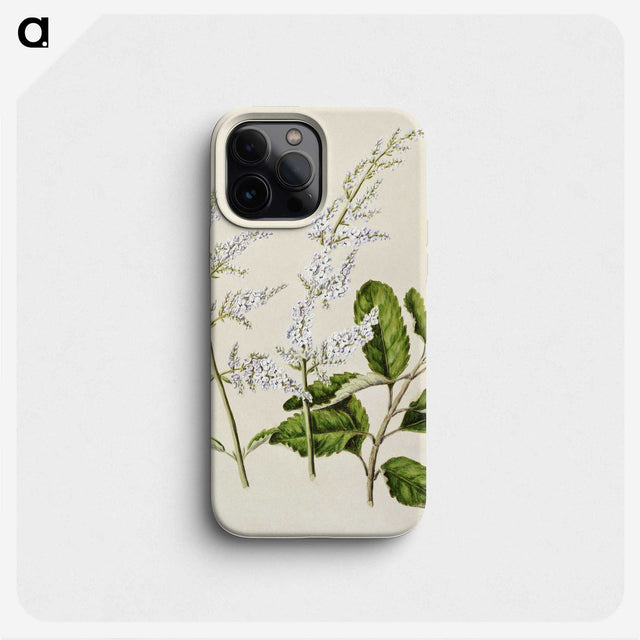 1-85_Native-Flowering-Plants-of-New-Zealand_phone