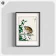 アートポスター-Greenshank and Bupleurum Sachalinense
 - 鳥類図鑑 Poster.
