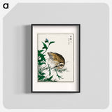 アートポスター-Greenshank and Bupleurum Sachalinense
 - 鳥類図鑑 Poster.