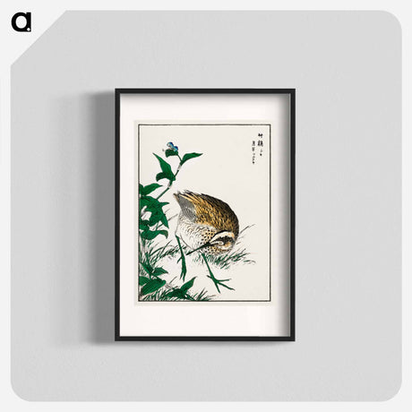 アートポスター-Greenshank and Bupleurum Sachalinense
 - 鳥類図鑑 Poster.