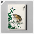 アートパネル-Greenshank and Bupleurum Sachalinense
 - 鳥類図鑑 Canvas.