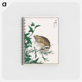 アートメモ帳-Greenshank and Bupleurum Sachalinense
 - 鳥類図鑑 Memo.