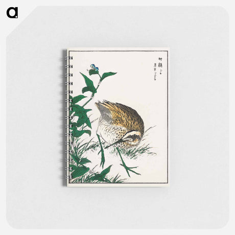 アートメモ帳-Greenshank and Bupleurum Sachalinense
 - 鳥類図鑑 Memo.