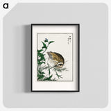 1-85_Pictorial-Monograph-of-Birds_blk