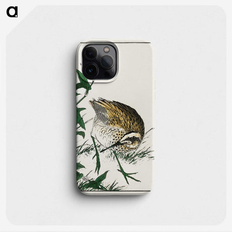1-85_Pictorial-Monograph-of-Birds_phone