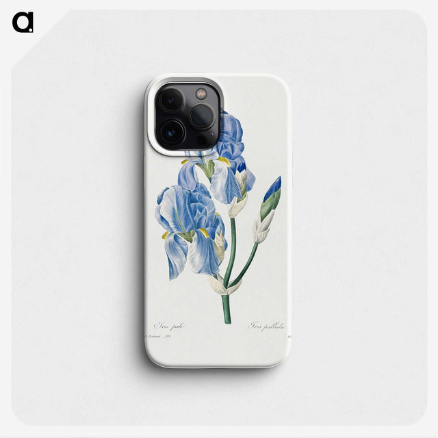1-85_Pierre-Joseph-Redoute_phone