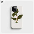 1-85_Plants-with-Colored-Foliage_phone