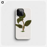 1-85_Plants-with-Colored-Foliage_phone