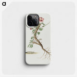 1-85_Robert-Jacob-Gordon_phone