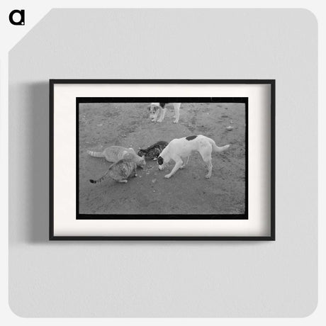1-85_Russell-Lee_blk