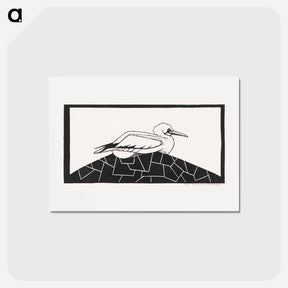 アートポストカード-Northern Gannet
 - サミュエル ジェスルン Postcard.