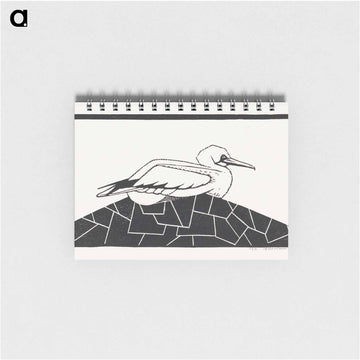 Northern Gannet
 - サミュエル ジェスルン Memo.
