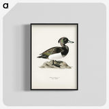 1-85_Svenska-Faglar_blk-crop