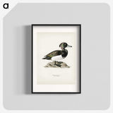 1-85_Svenska-Faglar_blk