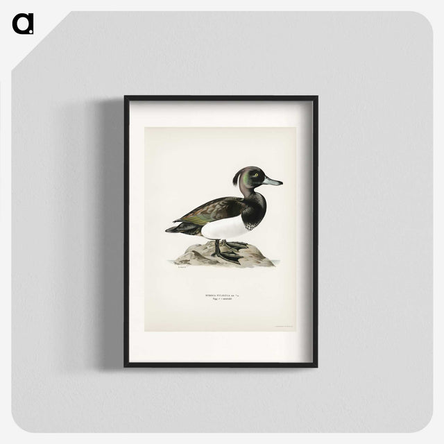 1-85_Svenska-Faglar_blk