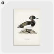 1-85_Svenska-Faglar_postcard