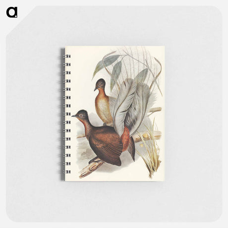 アートメモ帳-Albert Lyre-Bird
 - オーストラリアの鳥 Memo.